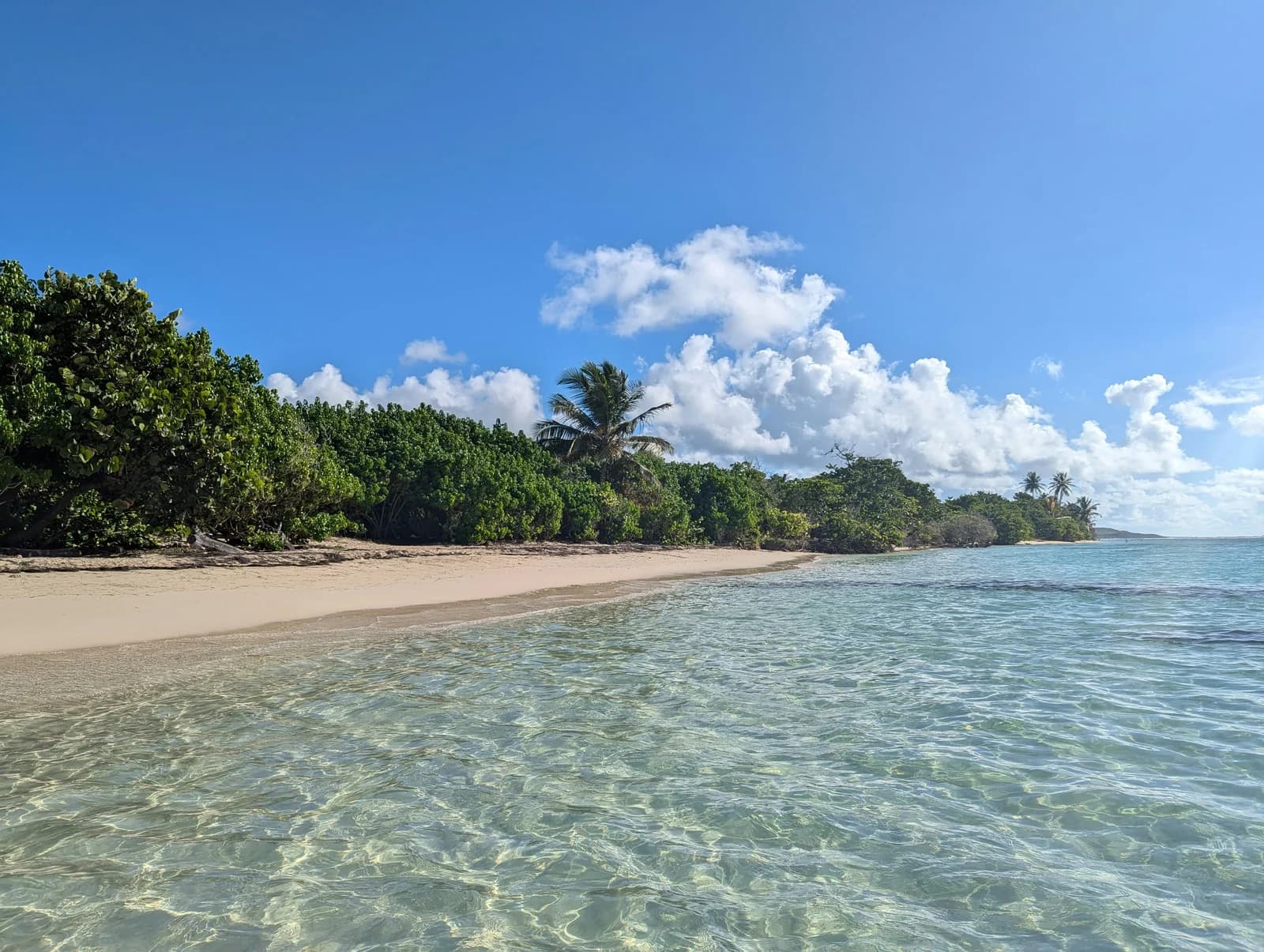 Plage caribéenne aux eaux cristallines à Saint-François, Guadeloupe